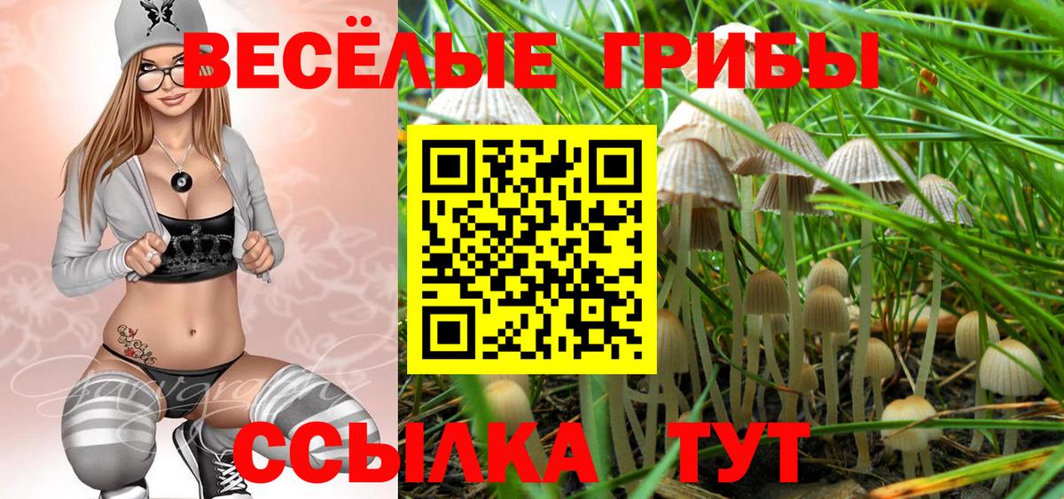 Галлюциногенные грибы Psilocybine cubensis  Вход с VPN  Рубцовск 